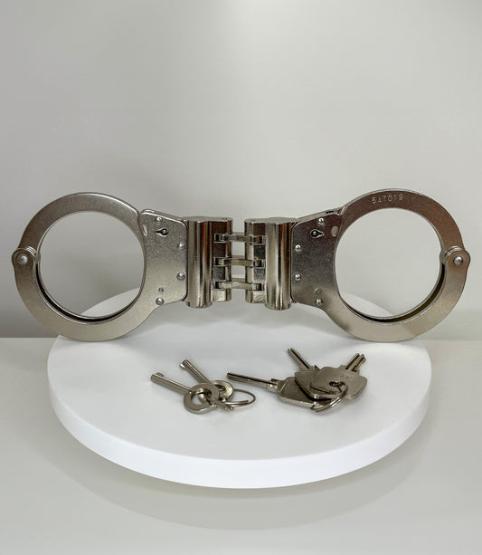 אזיקי אבטחה גבוהה עם ציר ונעילה כפולה HSH1